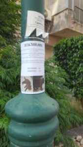 The post of the found cat (who finds cats?)