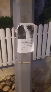 A post of a lost cat