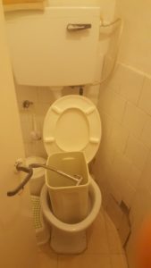 For poop cleaning on cloth diapers