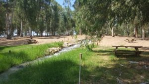 The Yarkon source - from a water drill