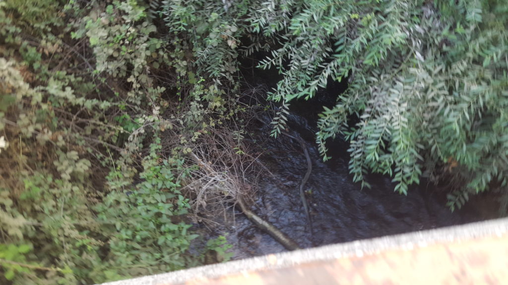 The bridge over Dan stream