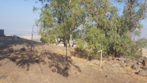 A burning sign saying "Golani forever" - Tel Faher