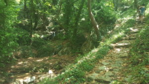 The path is partlly stone-paved, so it won't be hard on the centaurs
