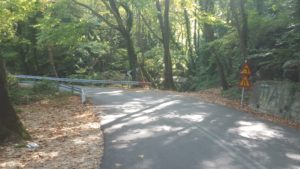 We passed this bridge many times, and finally stopped and went down to have a look