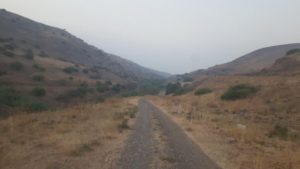 The road following the pipe that supply the water to the power plant