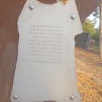 An information sign showing a laundry part of Rachel Belshnikov's memories. Mishmar HaYarden