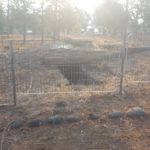 The remains of Shneider's house to which the defenders retreated - Mishmar Hayarden