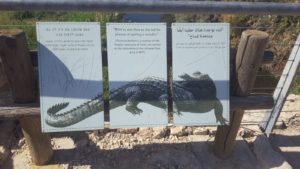 A sign on the bridge bringing a quote about a crocodile in Nahal Taninim 1877.