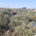 The stream of Nahal Taninim going through the dam and on the the sea.