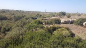 The view from the panorama on the edge of the dam on Nahal Taninim