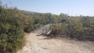 The rest of the small trail is among Atriplex ("Salty" in Hebrew). You are crossing Nahal Taninim and Nahal Ada back.