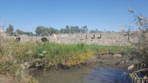 The dam on Nahal Taninim from below