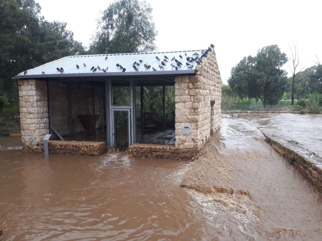 7 mills during the storm - Ayalon stream