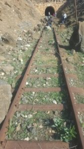 The view on the entrance to the other side of the railway tunnel. We were not allowed to go out there (source: AmudAnan)- The Hejaz railway tunnel