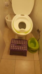 The toilet ready for the toddler's poo - toilet training