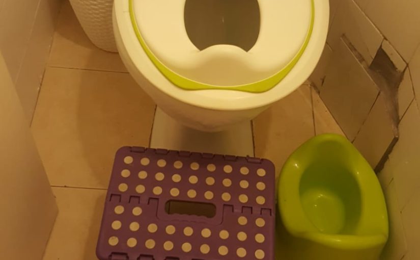 The toilet ready for the todlers poo - toilet training