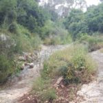 And there are water in the stream - Wadi Siah