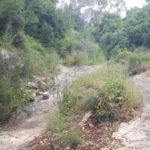 And there are water in the stream - Wadi Siah