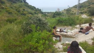 The spring above Khayat Orchad- Wadi Siah