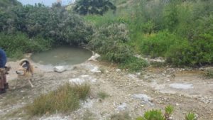 And the small pool that gathers the water - Wadi Siah