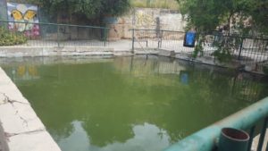 One of the pools inside the orchard  - Wadi Siah