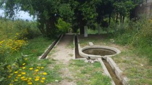 A trail in the orchard - Wadi Siah