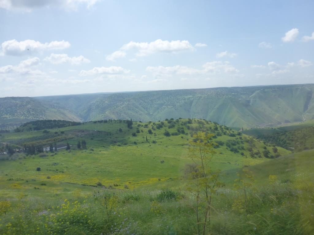 The valley from above - The Yarmouk river