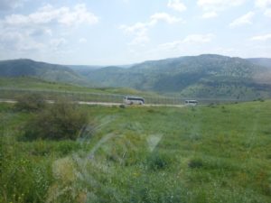 The other buses along the border fence - The Yarmouk river