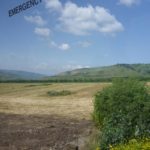 Wheat field - The Yarmouk river