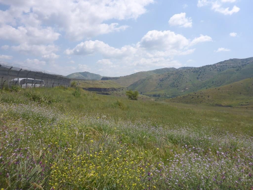 Looking East - the Yarmouk river