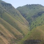 Just a green creek - the Yarmouk river