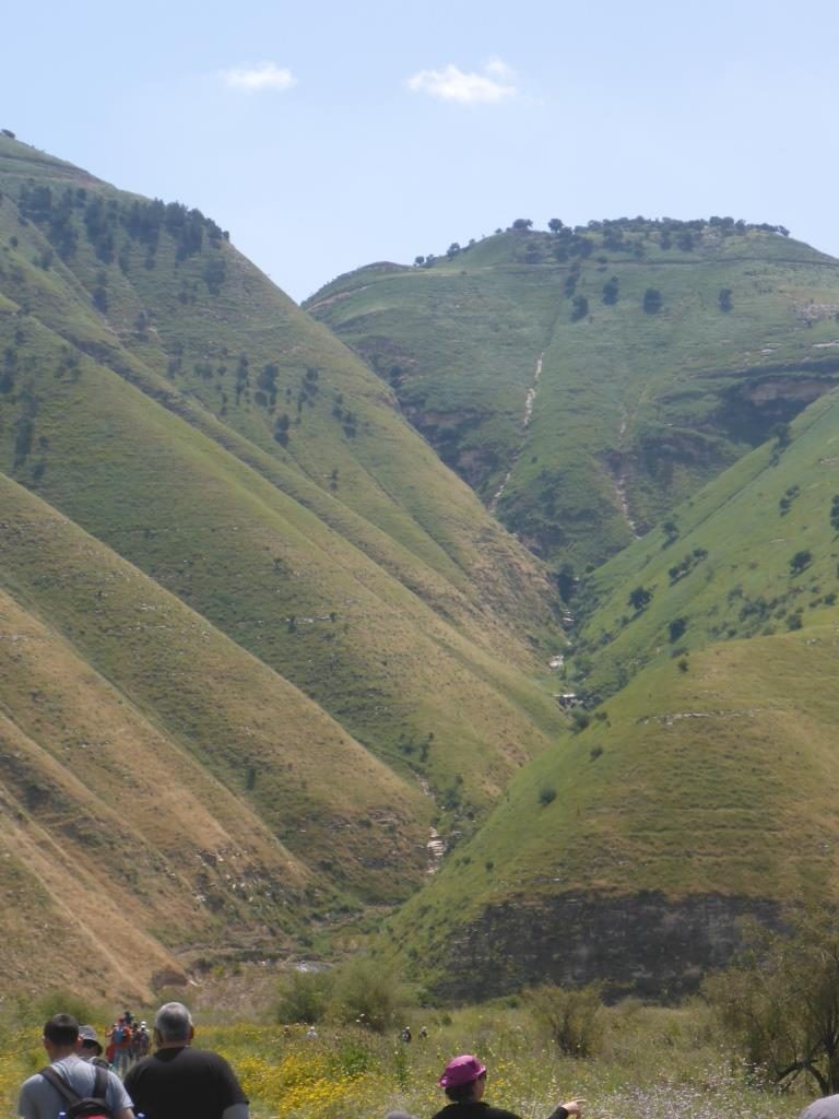 Just a green creek - the Yarmouk river