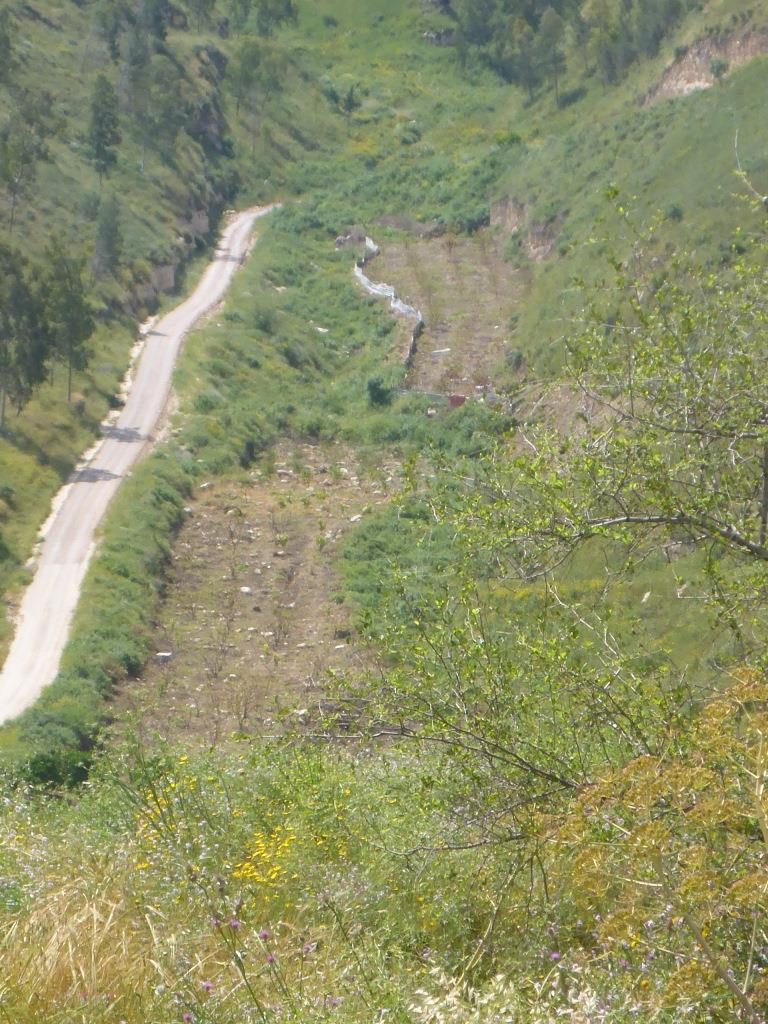 The Jordanian agriculture on every piece - the Yarmouk river