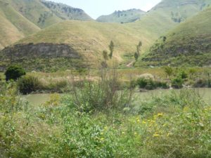 The Yarmouk river!