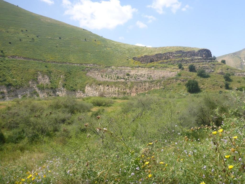 Jordanian side slopes - the Yarmouk river