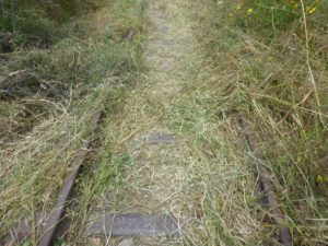 The railway forward Haifa - The Hejaz railway tunnel