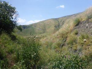 Looking outside from the other side of the railway tunnel - The Hejaz railway tunnel