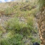 The walls on the entrance to the other side of the railway tunnel - The Hejaz railway tunnel