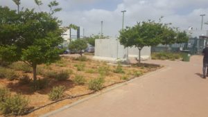 concrete walls as a safe area - end of another round
