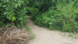 the enterance to the hidden stream creek trail