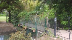 The brige over Koren stream that near it you can find the enterance to the hidden stream creek trail