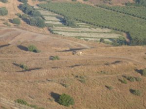 A lonely ruined tank  in the valley, like many in Golan Heights - volcanoes