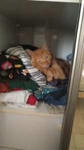 Taking a nap in Atzva closet - Arie
