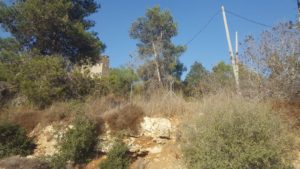 The post near Ma'ale HaHamisha industrial behind the trees