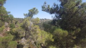 Looking East towrad Har Adar, the direction from which the Jordanian attacks came - sanatorium post