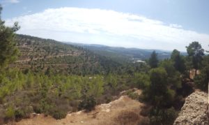 Looking East from the top of the post toward the creek leading to Kiryat Anavim  - sanatorium post