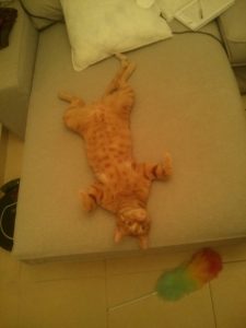 Trying to cool down