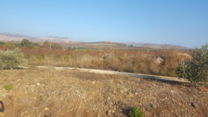 Egel hill which sits above Egel gate. Because of it topographic location the hill hosted an IDF post when the gate was active. Now its slopes are full of  plums orchards.