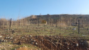 The top of the hill is still covered with minefields left from back days. Egel hill