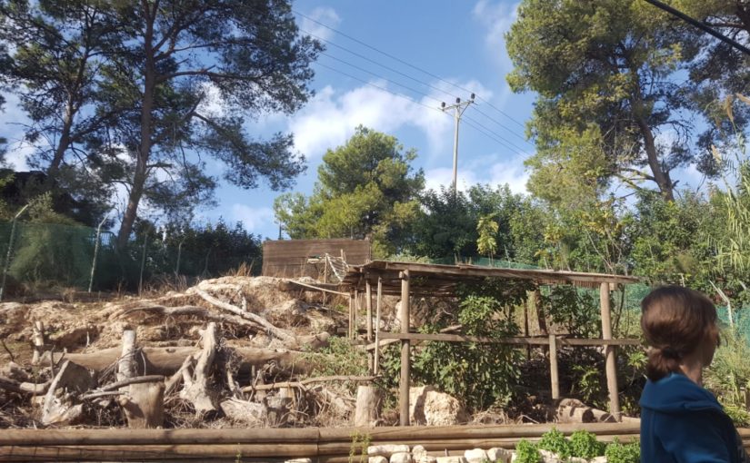The Monkey Park (Sanctuary) 🐒